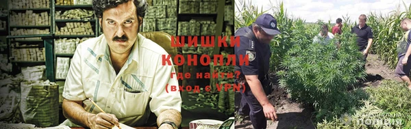 дживик Абинск