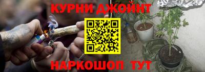 PSILOCYBIN Долгопрудный