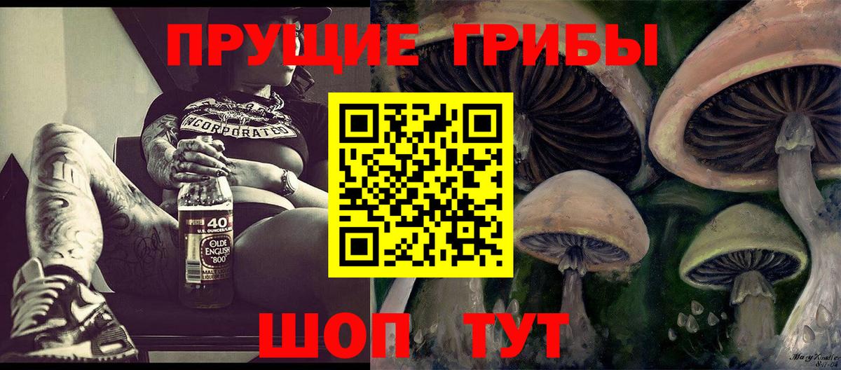 Меф Владимир