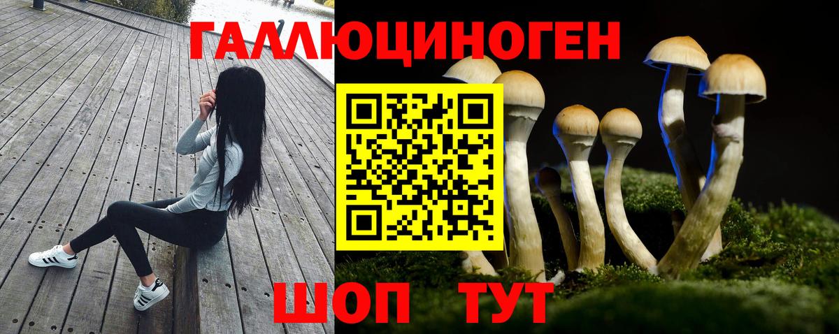 Псилоцибиновые грибы Magic Shrooms  Вход с VPN  Владимир 